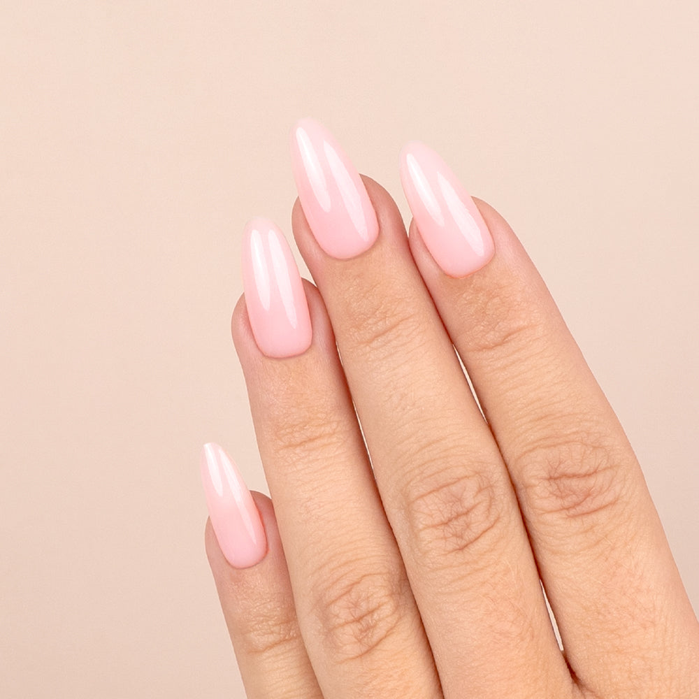 Rubber Base Soft Rose