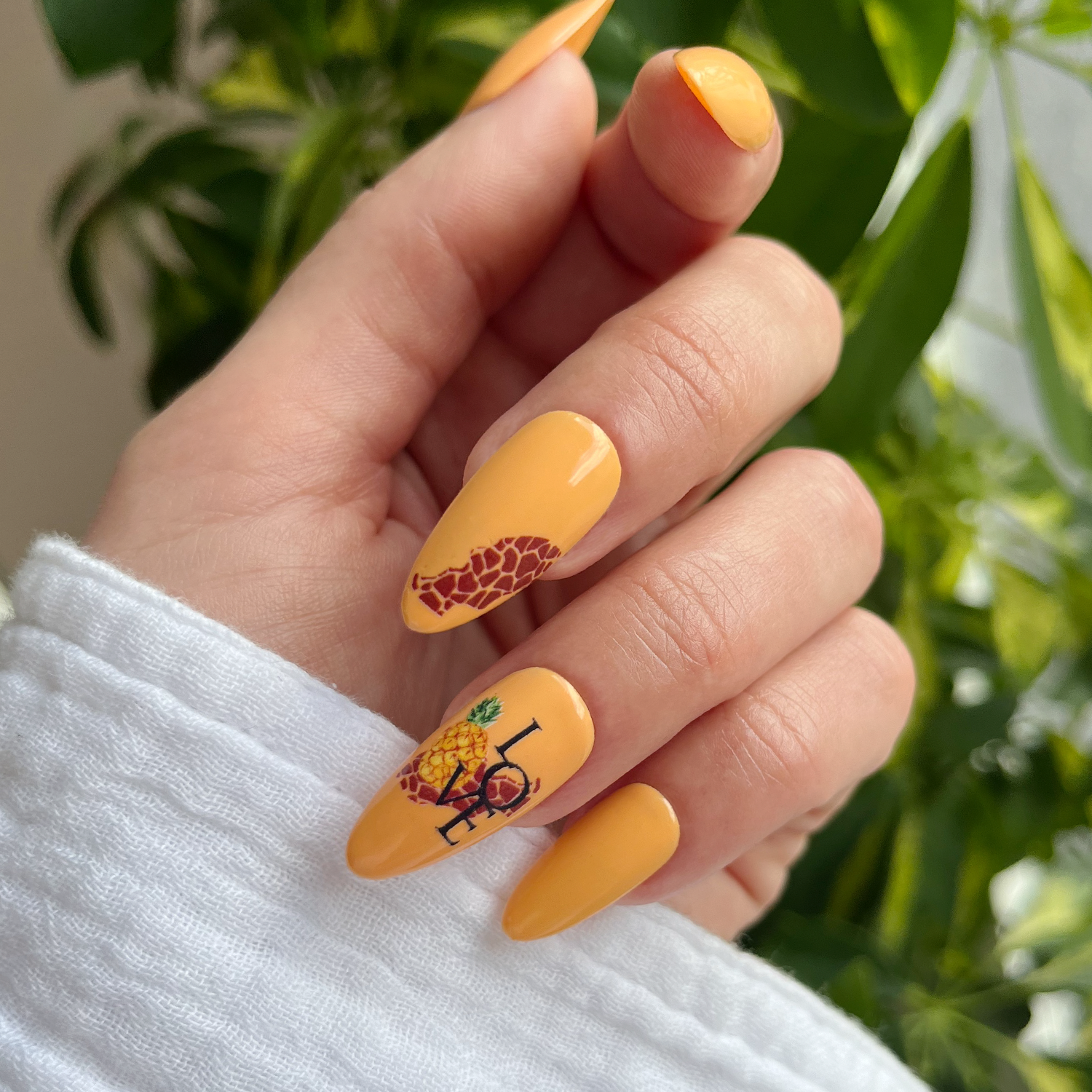 Pegatinas al agua - Tropical fruit