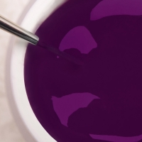 Art Paint Gel Grape Purple 